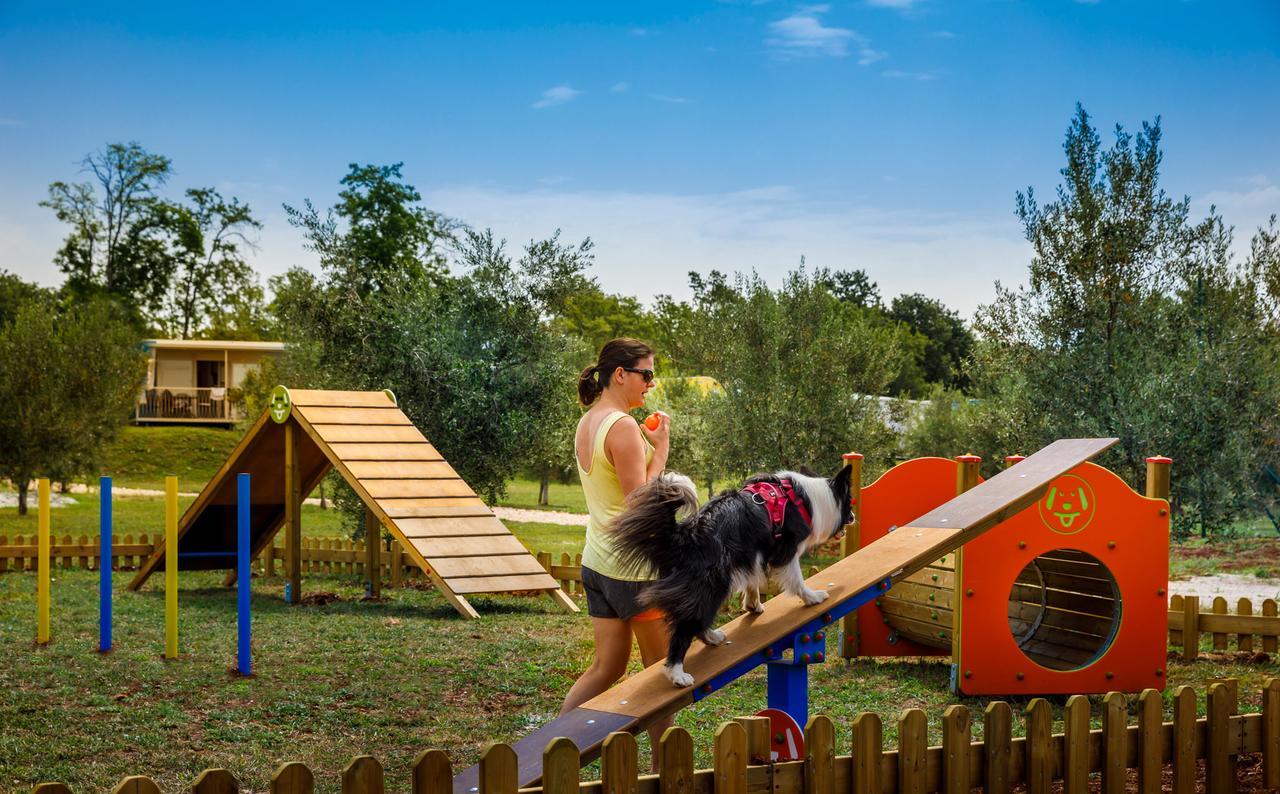 Aminess Maravea Camping Resort Holiday Homes Novigrad Istria エクステリア 写真